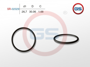GS SR02029