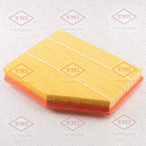 TATSUMI TBC1243