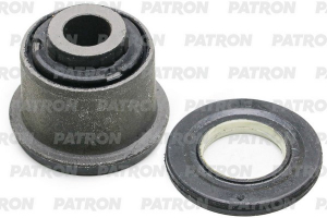 PATRON PSE10767