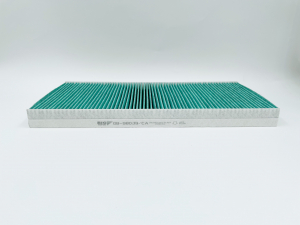 BIG FILTER GB98039CA