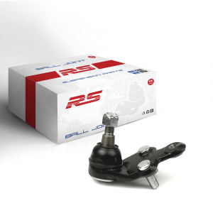 RS RECORD RS10059546