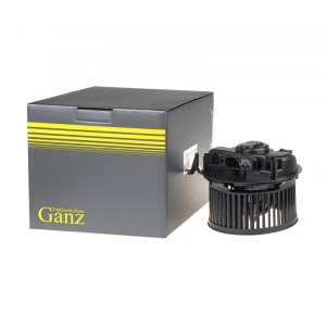 GANZ GIC06009