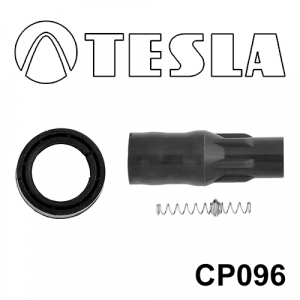 TESLA CP096