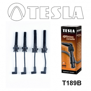 TESLA T189B