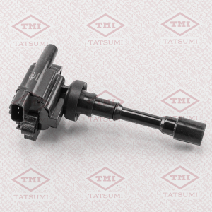 TATSUMI THG1001