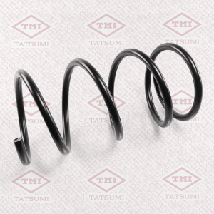 TATSUMI TAE1029
