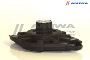 AMIWA 1124916