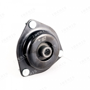 IBERIS IB114018