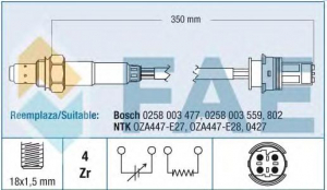 FAE 77243