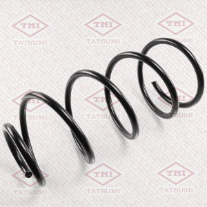 TATSUMI TAE1002
