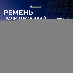 MICHELIN 6PK1700