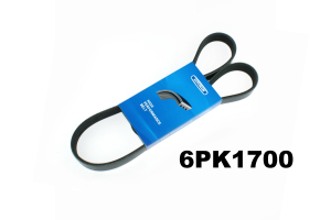 AUTORAM 6PK1700