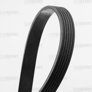 CARBERRY 6PK948