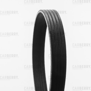 CARBERRY 5PK903