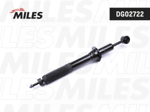 MILES DG02722