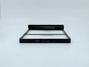 BIG FILTER GB98084