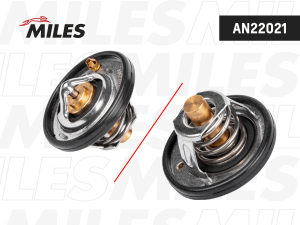 MILES AN22021