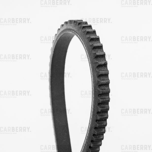 CARBERRY 13X950