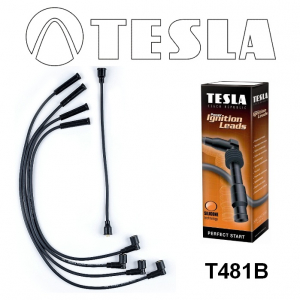 TESLA T481B