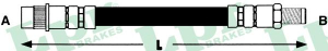 LPR 6T46556