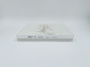 BIG FILTER GB98099