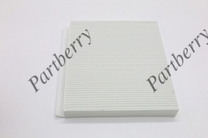 PARTBERRY PB130299