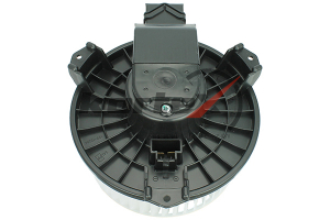 KORTEX KHF022