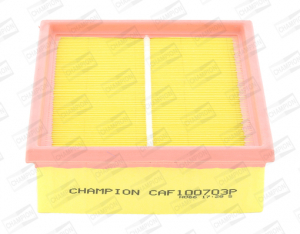 CHAMPION CAF100703P
