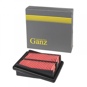 GANZ GIR04384