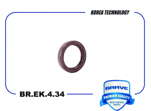 BRAVE BREK434