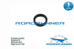 ROADRUNNER RR9031138067