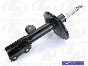 TRUSTAUTO TA21051FR