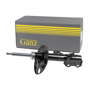 GANZ GIK02937