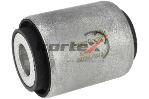 KORTEX KBS555