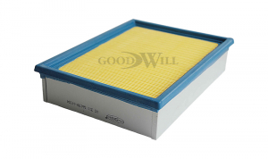 GOODWILL AG311