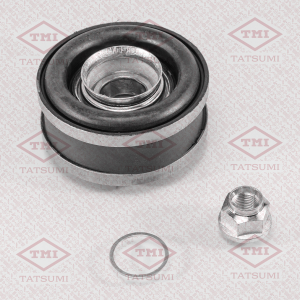 TATSUMI TDG1013