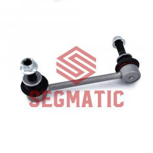 SEGMATIC SGRS1113