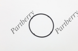 PARTBERRY PB191001