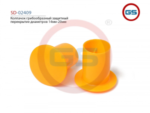 GS SD02409