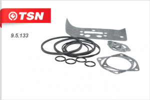 TSN 95133