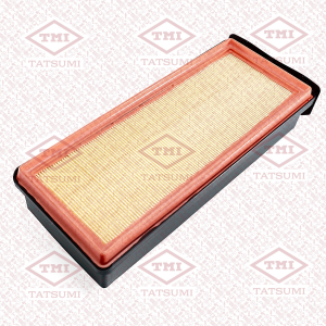 TATSUMI TBC1310