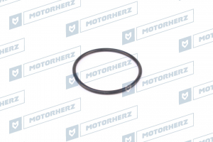 MOTORHERZ HR0049