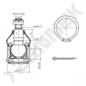 ZENNEK DBJ0029