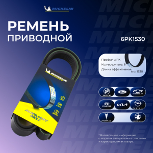 MICHELIN 6PK1530