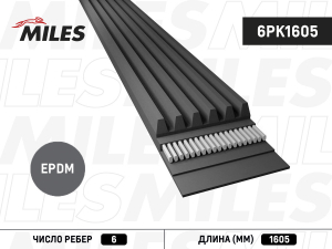 MILES 6PK1605