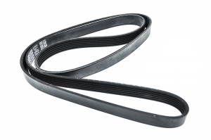 DAYCO 6PK1558