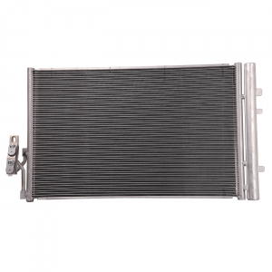 BAPMIC TOPT1255004