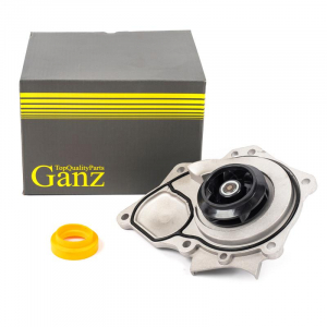 GANZ GIF02041