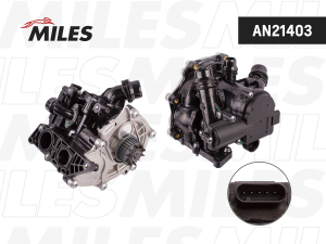 MILES AN21403