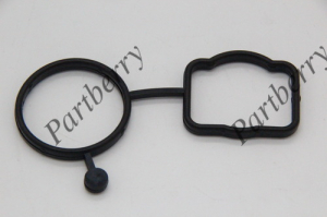 PARTBERRY PB132863